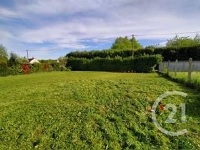 terrain - BALLAN MIRE - 37