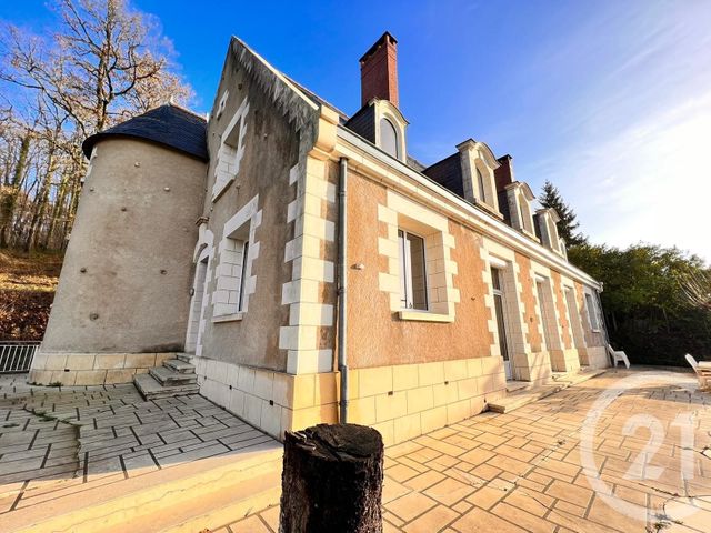 maison - LUYNES - 37