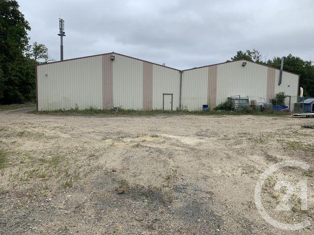 commerce à louer - 375.0 m2 - MONTS - 37 - CENTRE - Century 21 Agence Grand Sud