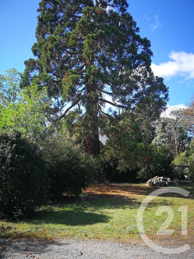 Appartement Studio à louer - 1 pièce - 20.18 m2 - TOURS - 37 - CENTRE - Century 21 Agence Grand Sud