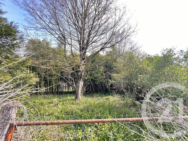 divers à vendre - 160.0 m2 - BALLAN MIRE - 37 - CENTRE - Century 21 Agence Grand Sud